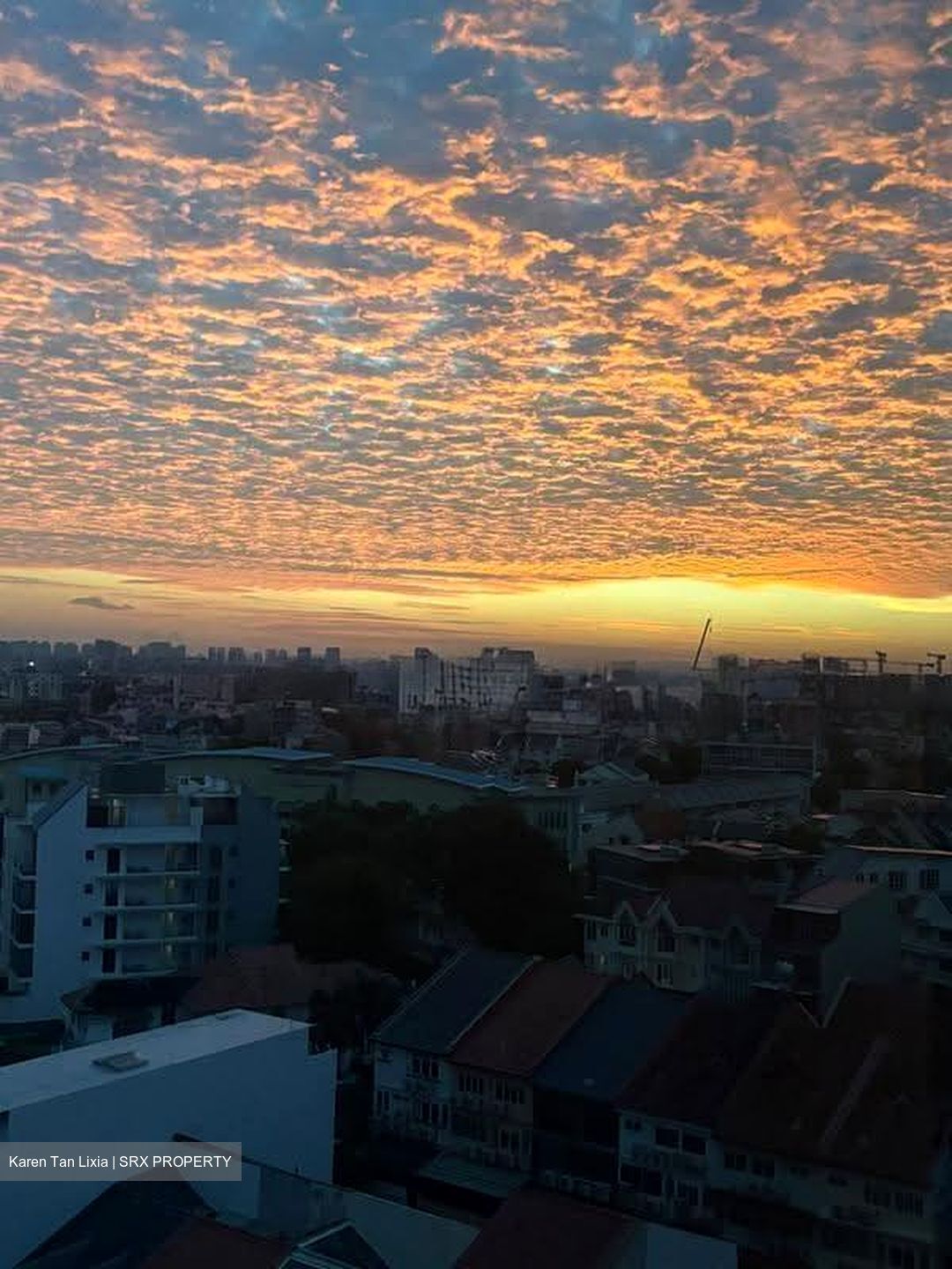 The Florence Residences (D19), Apartment #637560281
